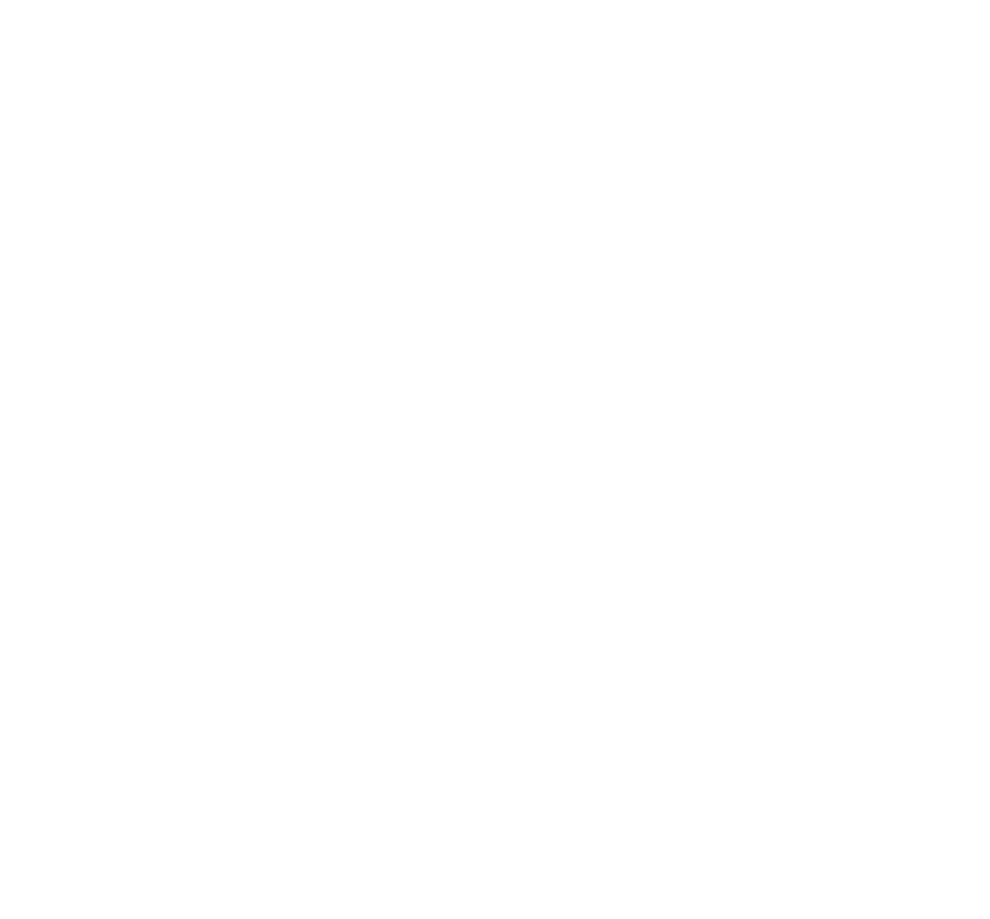 Planet X Inc logo